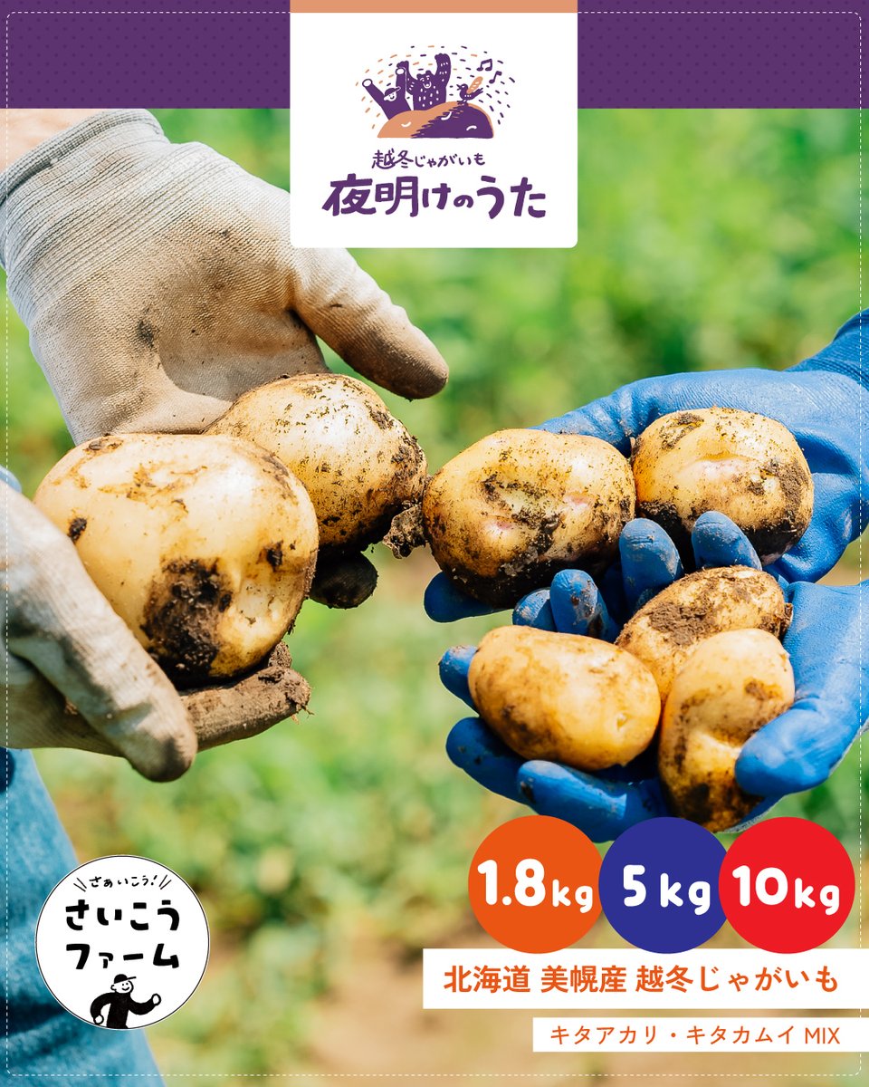 domeky's tweet photo. 越冬じゃがいも2026
【夜明けのうた】発売開始。
冬を越え、約6ヶ月熟成。
加熱すると、まるで砂糖を加えたような甘み。

発売記念10%OFF
クーポン【YOAKENOUTA315】
3/15まで（サイコーの日！）
春のごちそうを、食卓へ。👇
https://t.co/86n8YixiFC

#越冬じゃがいも #北海道野菜 #さいこうファーム https://t.co/qNyvbsn7cz