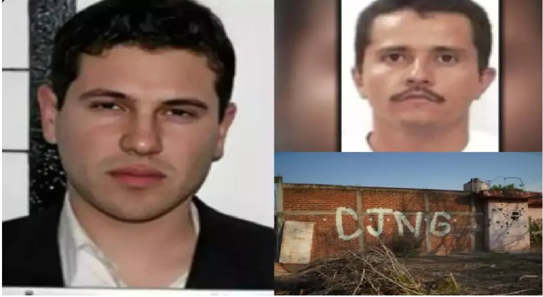 El Diario Del Narco tweet media