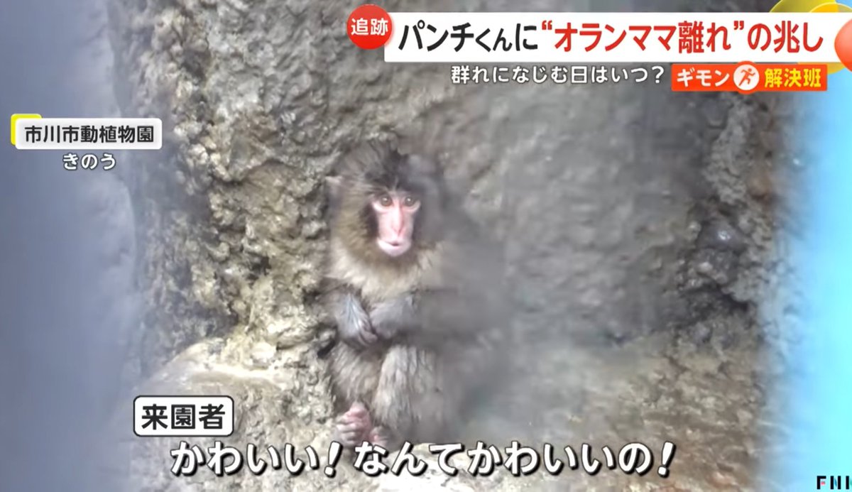 剣 (@the_tsurugi) on X