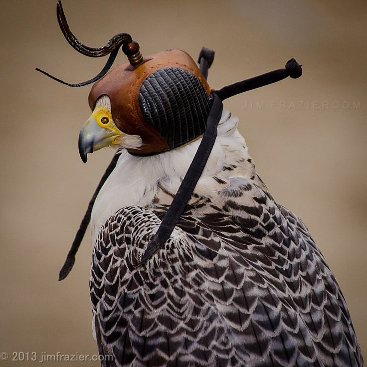 || bread pudding enthusiast || tweet media