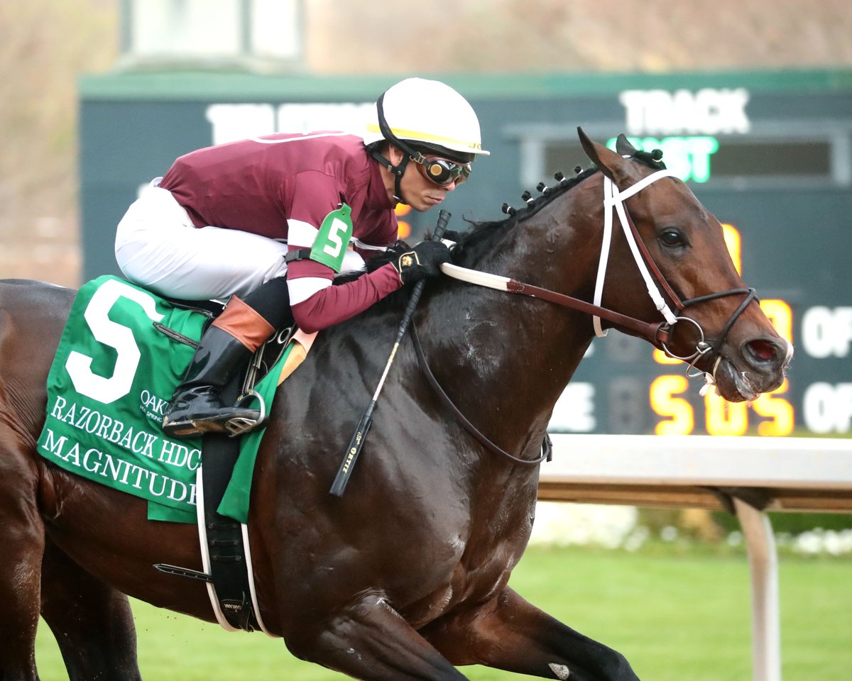 Oaklawn Hot Springs tweet media