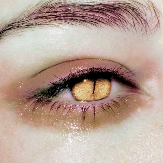 || bread pudding enthusiast || tweet media