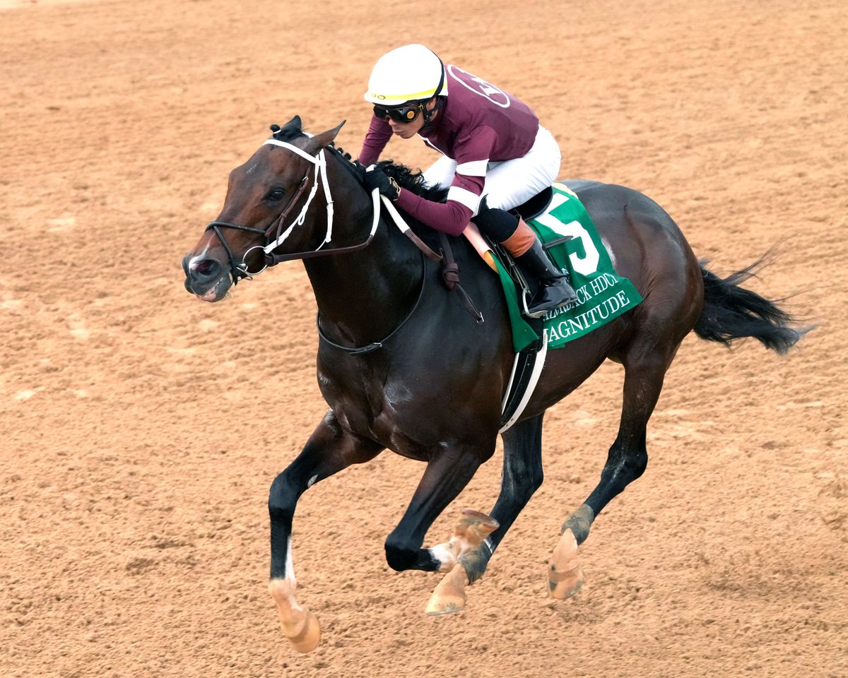 Oaklawn Hot Springs tweet media