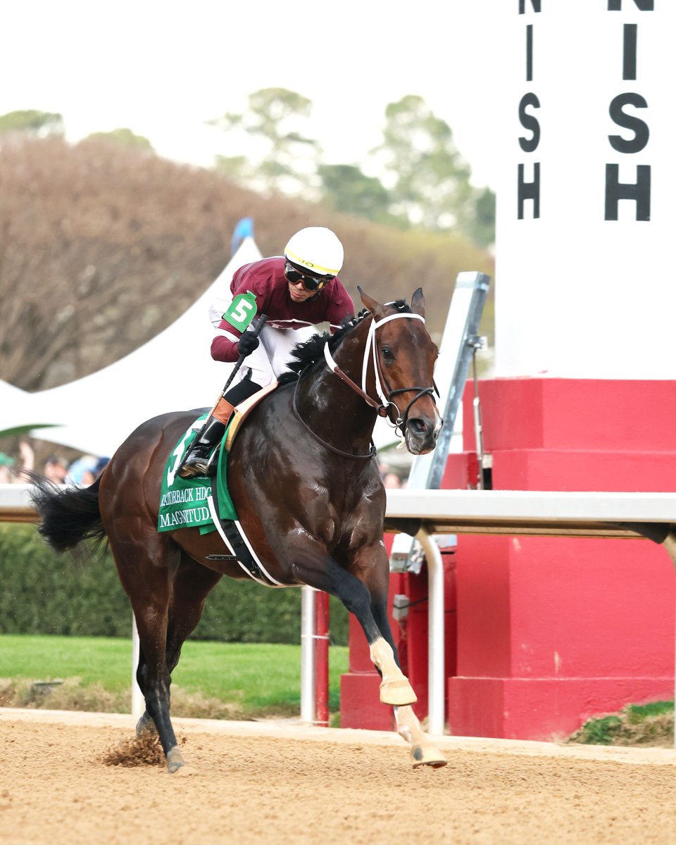 Oaklawn Hot Springs tweet media