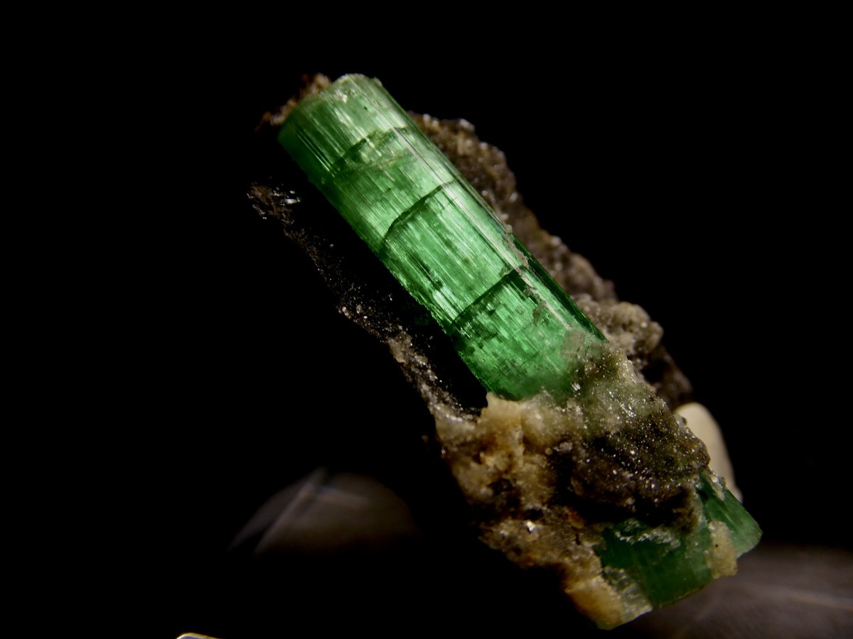 天秤亭てみす🐚 tweet media