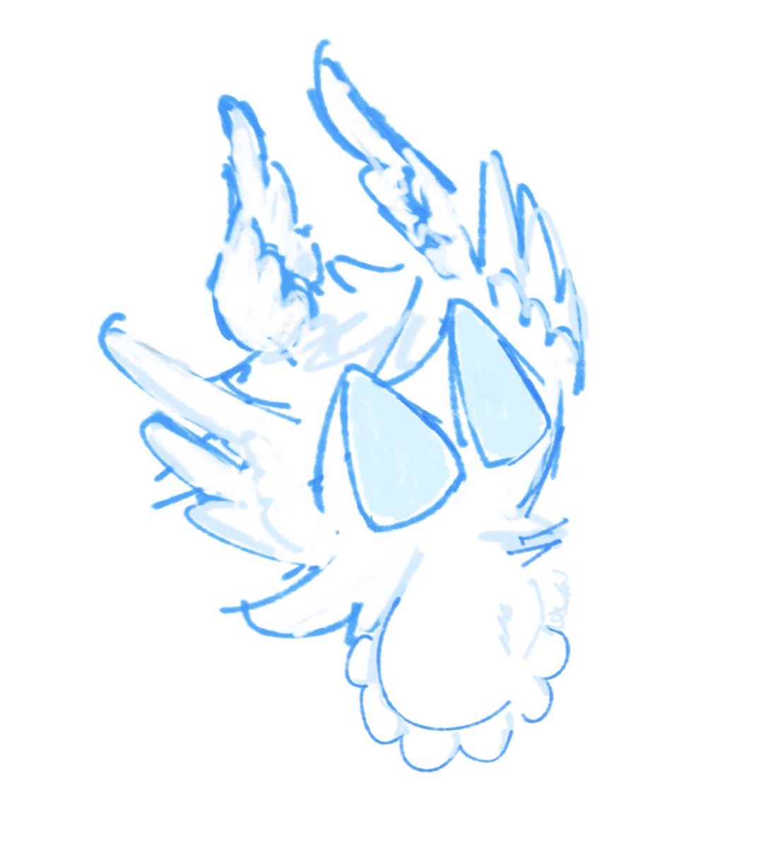 CALABACITY tweet media