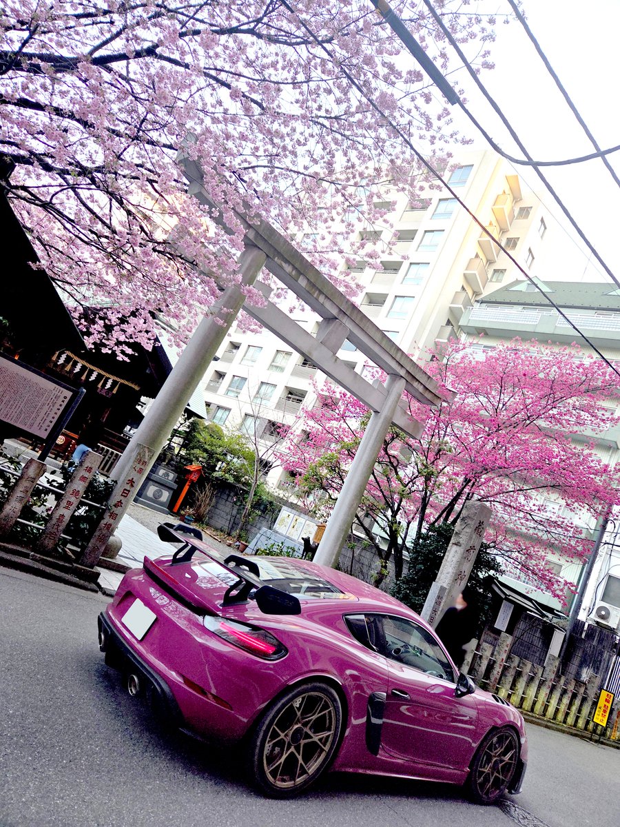 Rika | ポルシェ 911supercars.com (@911supercars) / Posts / X