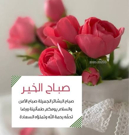 15_العميد (@blue15blue11) on Twitter photo 