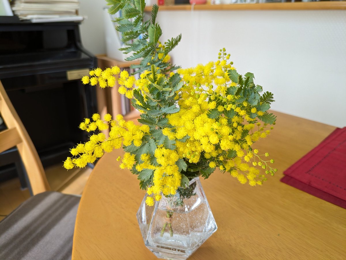 昨日お花屋さんで買ってきたミモザ、 めちゃ春っぽい…☺️