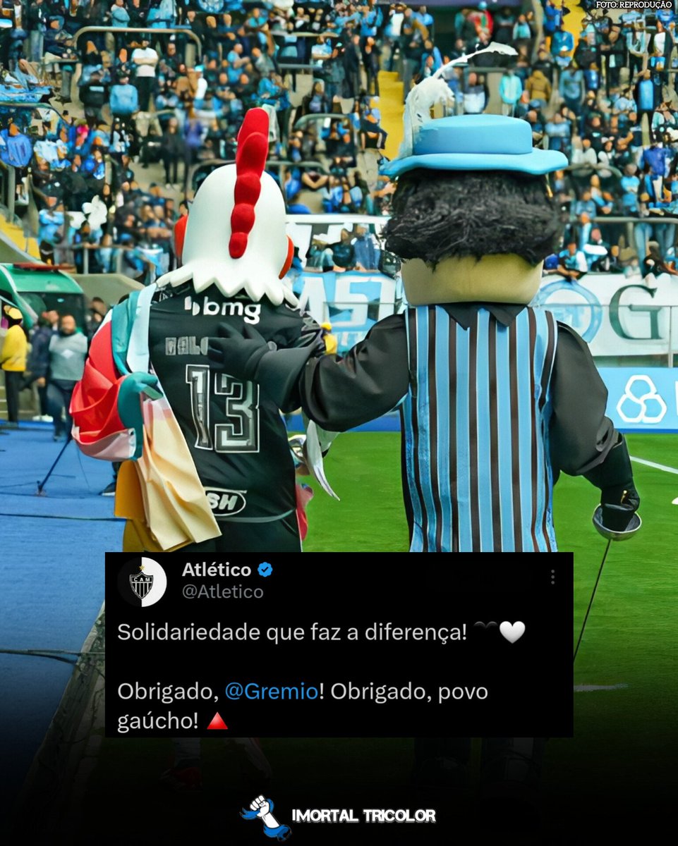 imotricolor's tweet photo. 🇪🇪 🤝 🐓 https://t.co/wXPzNpj1oM