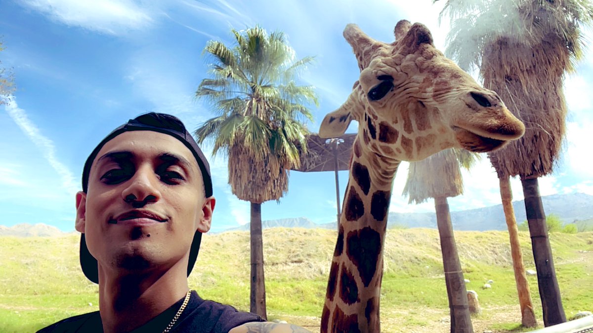 MF$layer tweet media