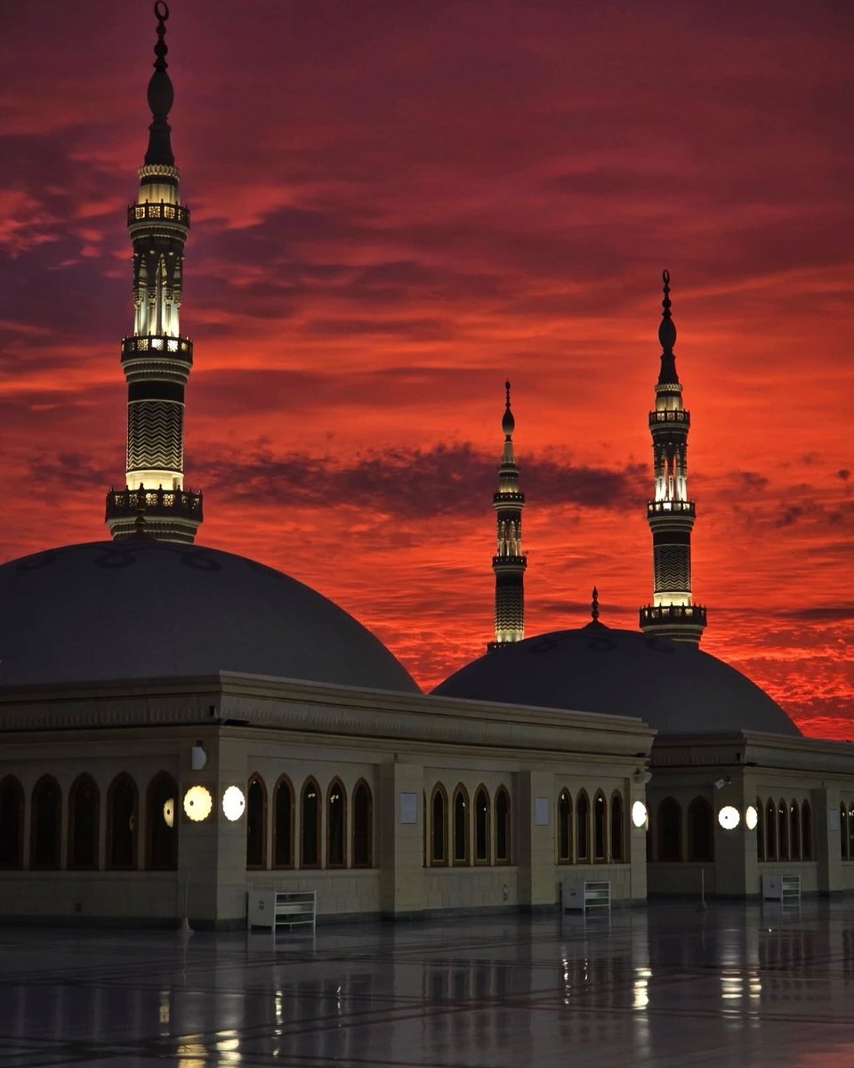 Aqsa Chaudhry🌙🇵🇸🇵🇰 tweet media