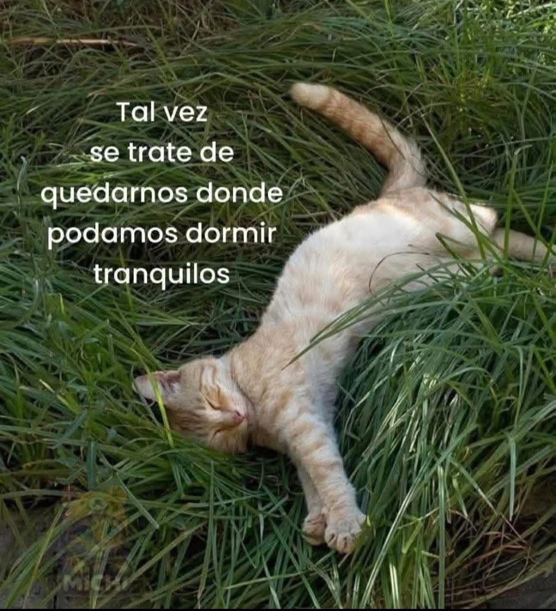 bauldefrases (@suspirxsalaire) on Twitter photo 