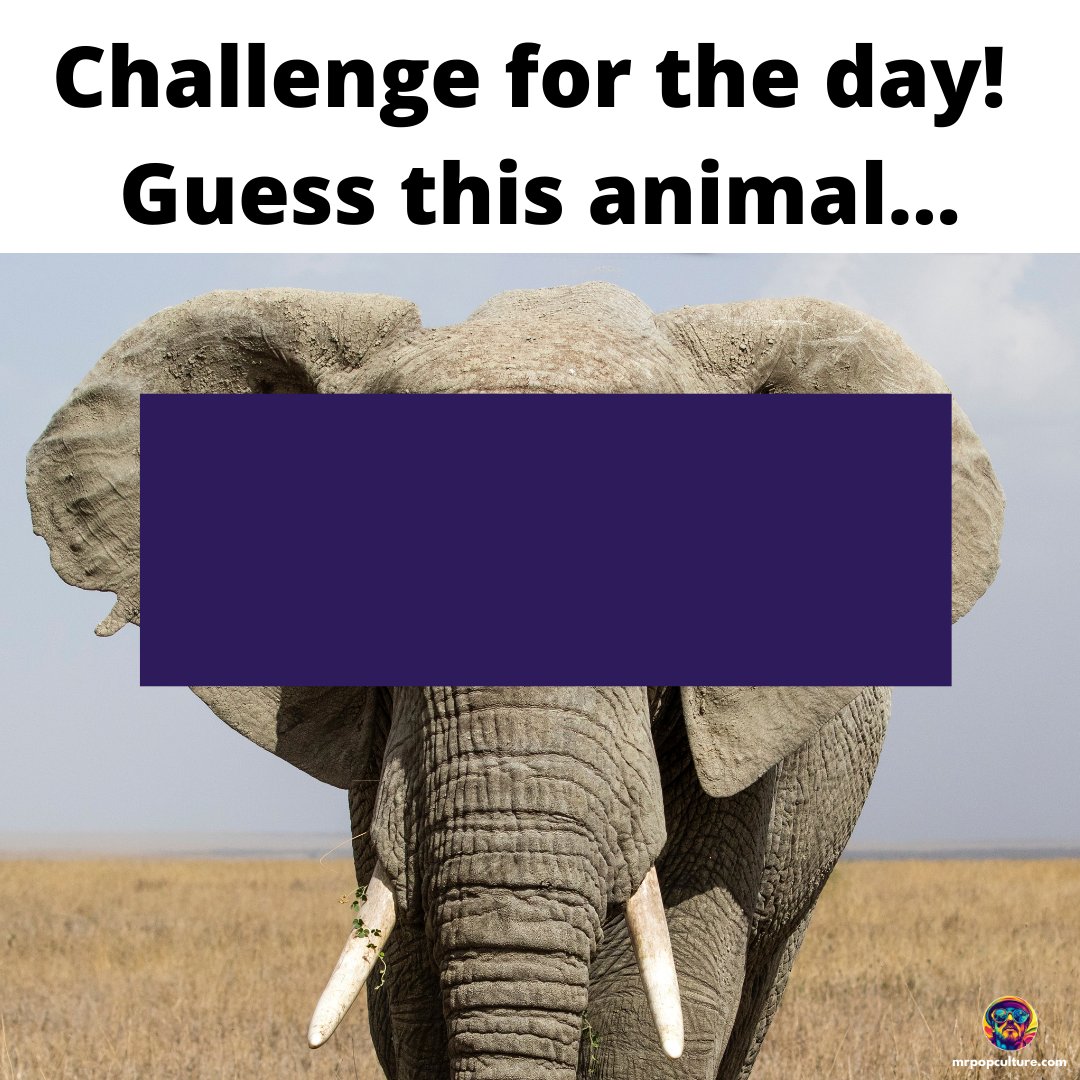 itsmrpopculture's tweet image. Looks like a beaver to me!
#guesstheanimal #whatisit