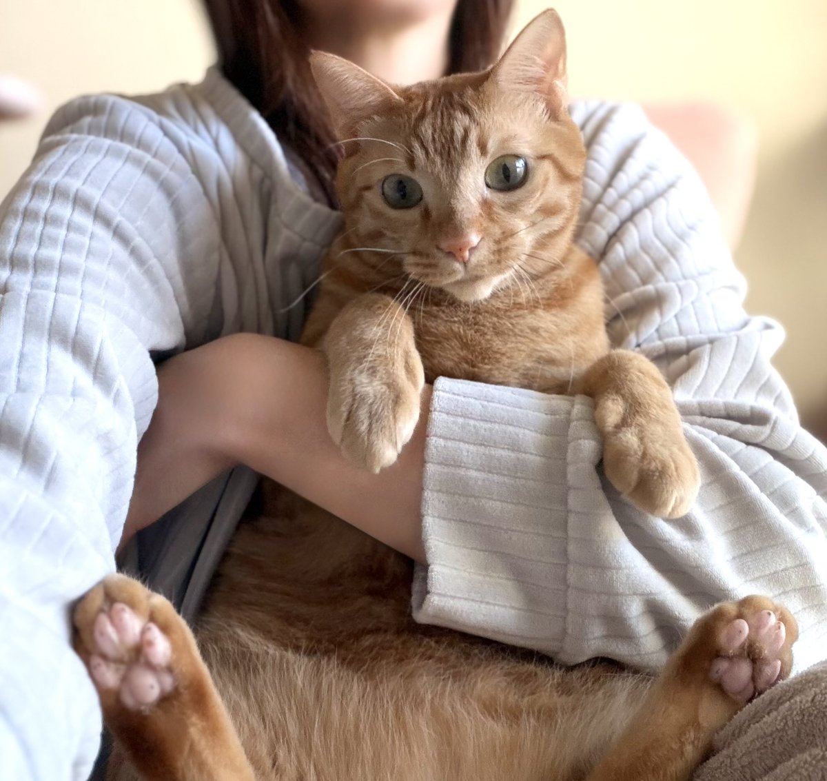 パリピア😻✨ (@NW6hX5NzGOqMVAw) / Posts / X