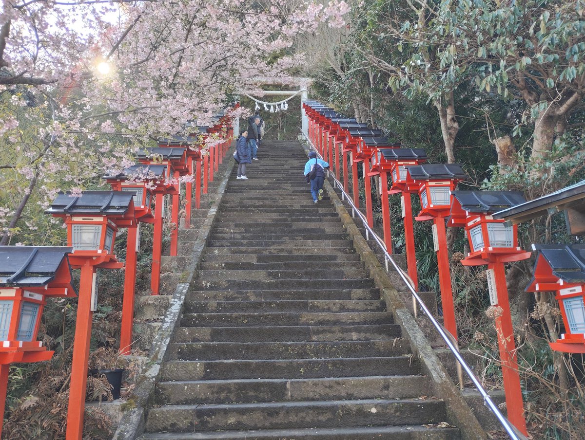 fw5429's tweet photo. 遠見岬神社
遠見岬神社は朝市で有名な勝浦にあります。石段に並べられる雛人形で知られます。自分が行った時は雛人形のシーズン前で、この石段を登って参拝しました。途中勝浦湾を見渡せます。御朱印は書き置きでいただきました。太平洋寄りの八幡岬公園は勝浦城跡となっています。
＃勝浦
＃御朱印 https://t.co/dJR2JtdIUO