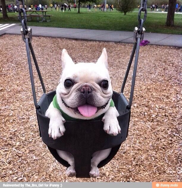 ﹒,﹑•ᴗ•﹕➜𝐍̃𝐚𝐨 𝐞́ 𝐨 𝑵ᥲᥒk᥆ 𝑺𝗍ᥲr ﹒⭐﹒ tweet media