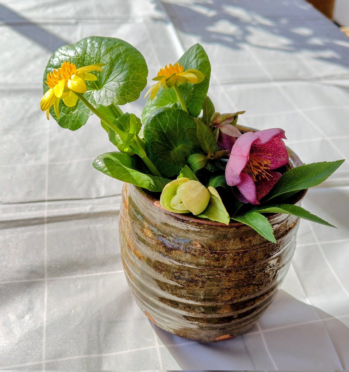 🌛ミカヅキ tweet media