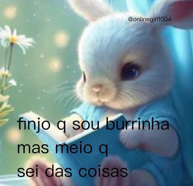 Traficante de Memes tweet media