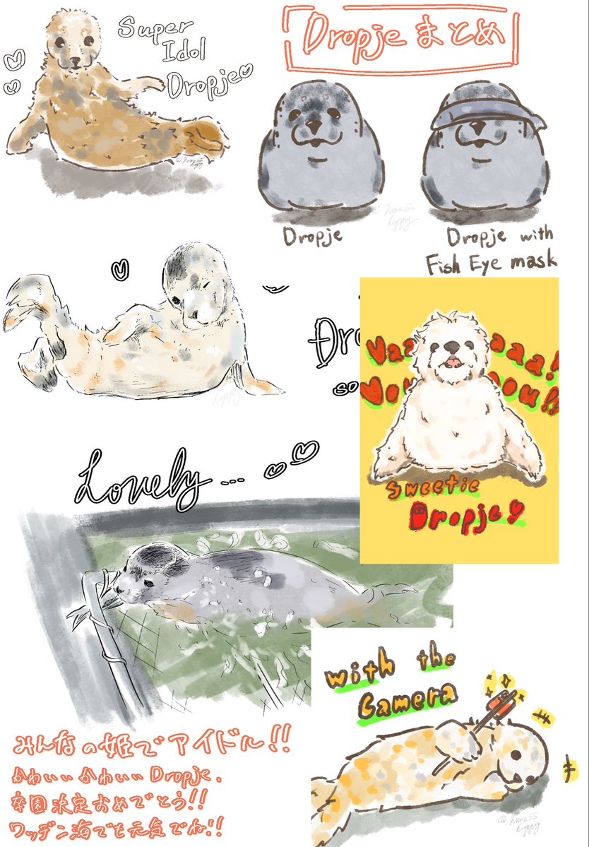 Dropje 卒園決定おめでとう！今日の22時からライブ配信だね 私が