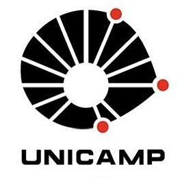 Jamais vão superar o sovaco UNICAMP desse querido