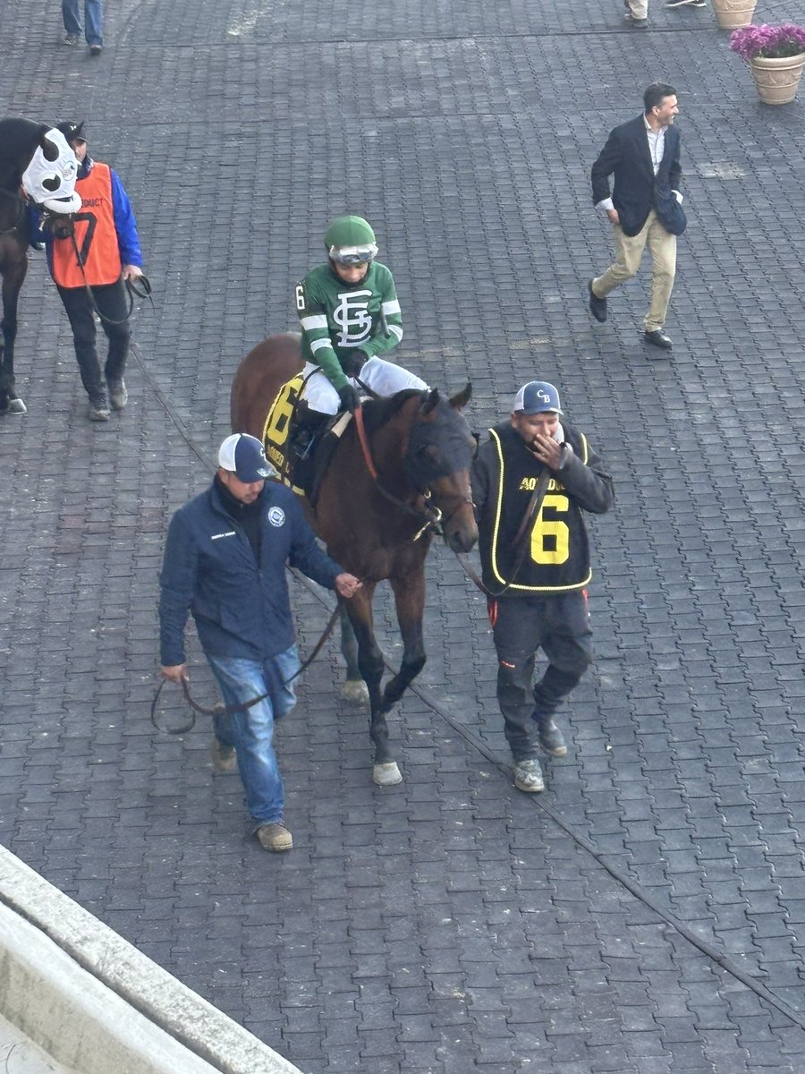 Sammy Roseman tweet media