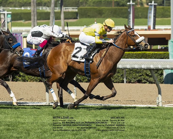 George Papaprodromou Racing tweet media