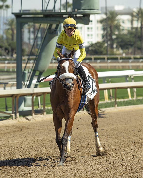 George Papaprodromou Racing tweet media
