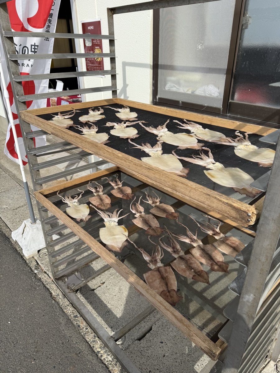 おはようございます☀
今日は休日返上して営業します！
イカの一夜干しまだありますので、皆様のお越しをお待ちしております🦑
試食もありますよ！
※ガルパンパネルは強風の為店内にて掲示中です。
#大洗　#しらす　#イカ　#ガルパン　#ガールズアンドパンツァー