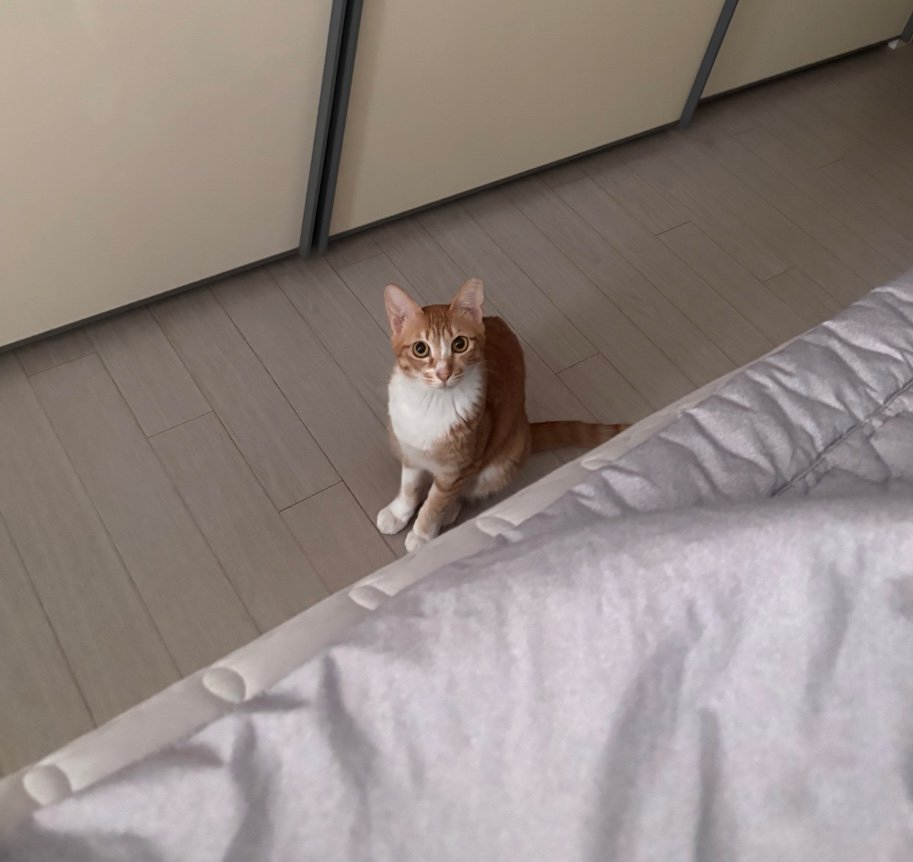 🔴100만뷰 노출 현실적인 루트 꿀팁저장

이 표정 뭐야 ㅋㅋㅋㅋ ㅅㅂ