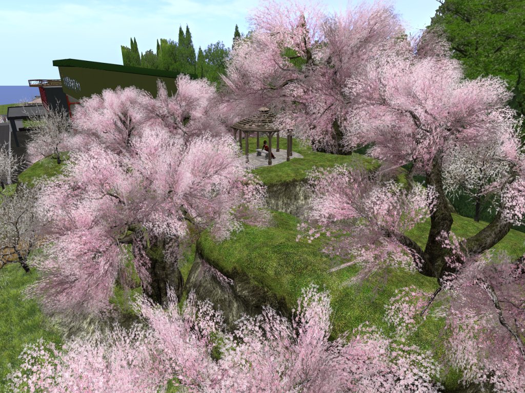 今日から3月ってことで雛見沢をちょっと模様替え
してもらいました。 梅から桜になったですね＾＾

桜を眺めながらぼぉ～～っとするのも気晴らしに
なりますね。

maps.secondlife.com/secondlife/Bur…

#SecondLife