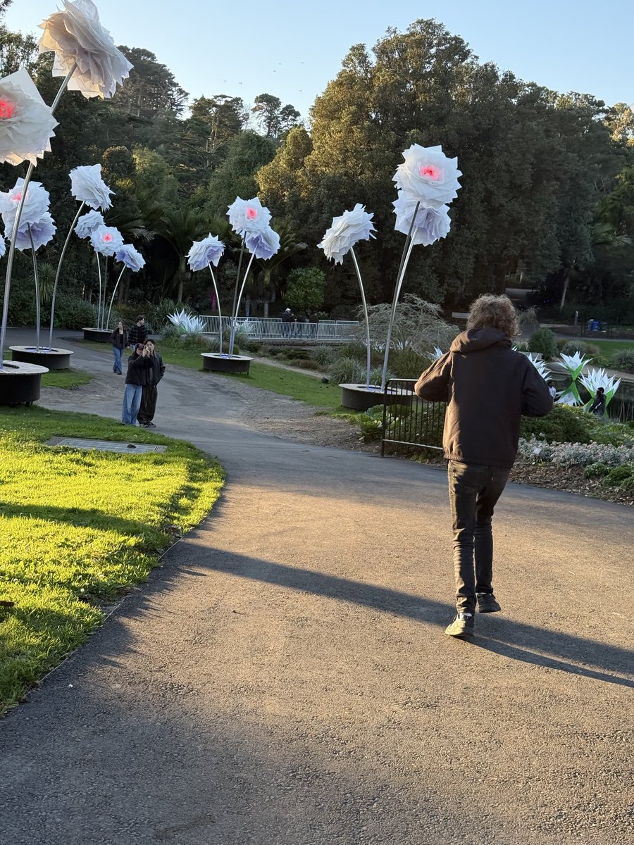 kelly close tweet media