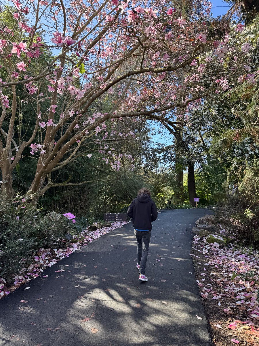 kelly close tweet media