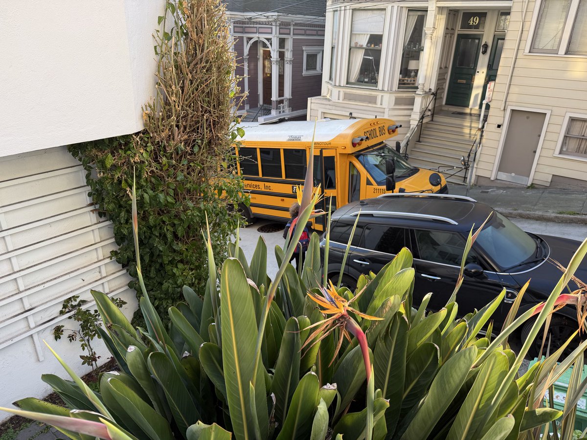 kelly close tweet media