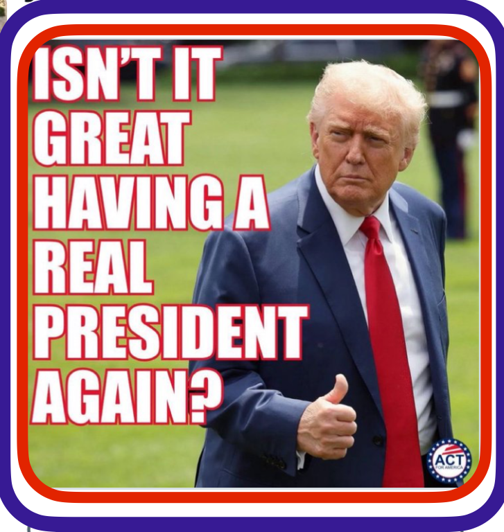 Debra Hanigan; 🇺🇸Gerontologist tweet media