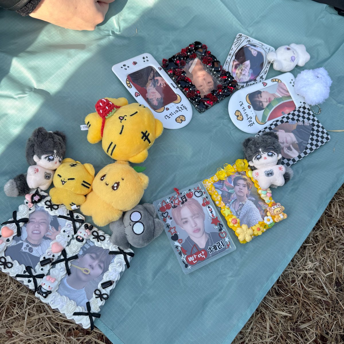 뚜녕아 우리 와따아 🐯💛💛