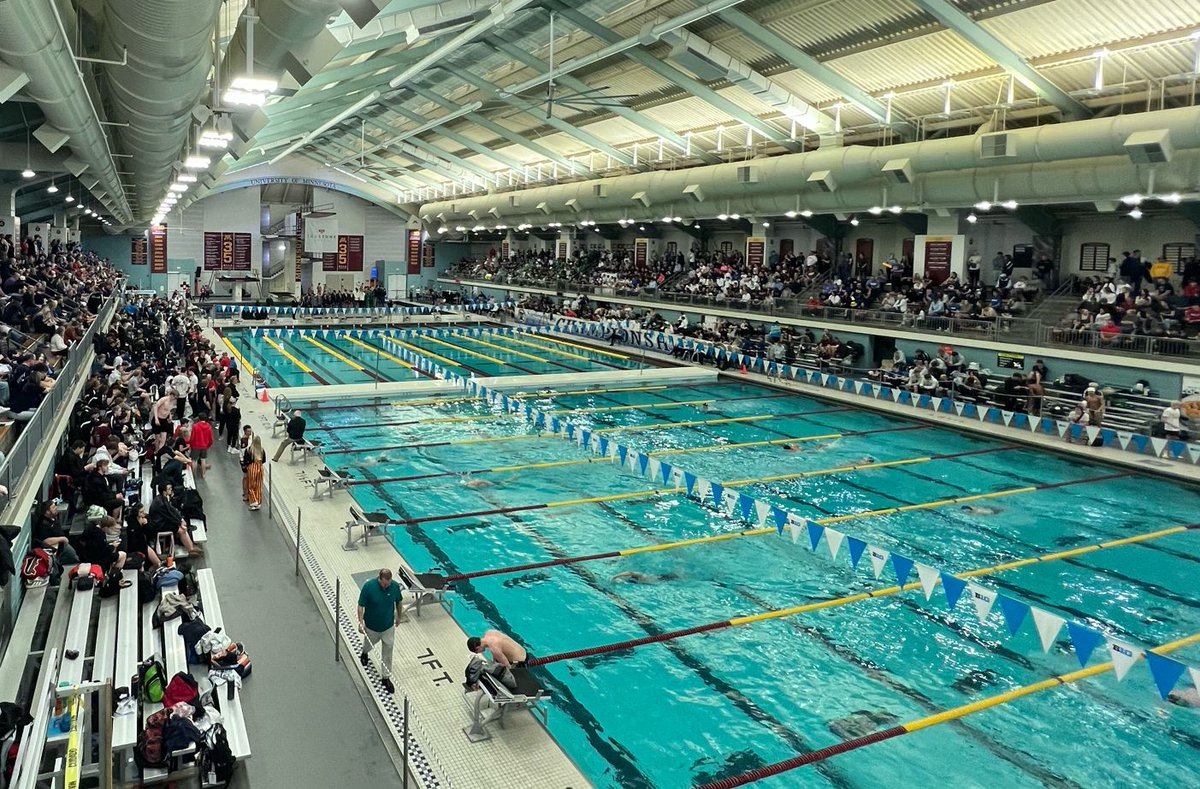 Buffalo Bison tweet media