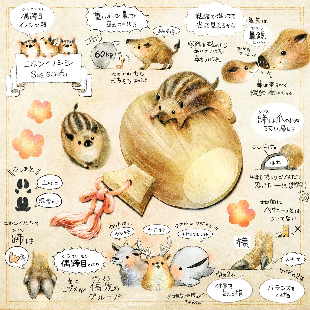 ForestStoryTime's tweet photo. 希少な種も、そうでない種も
かれらが暮らしていける場所を大切にしたいなぁって思います。

色んな種がいること。
もっと言えば、その種の中に色んな子がワイワイといる事。

「色んな子がいる」という事は、未来を生み出す何よりの力になるから🌱

 #世界野生生物の日 https://t.co/2mqNMjsmWX