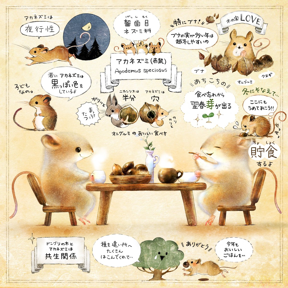 ForestStoryTime's tweet photo. 希少な種も、そうでない種も
かれらが暮らしていける場所を大切にしたいなぁって思います。

色んな種がいること。
もっと言えば、その種の中に色んな子がワイワイといる事。

「色んな子がいる」という事は、未来を生み出す何よりの力になるから🌱

 #世界野生生物の日 https://t.co/2mqNMjsmWX