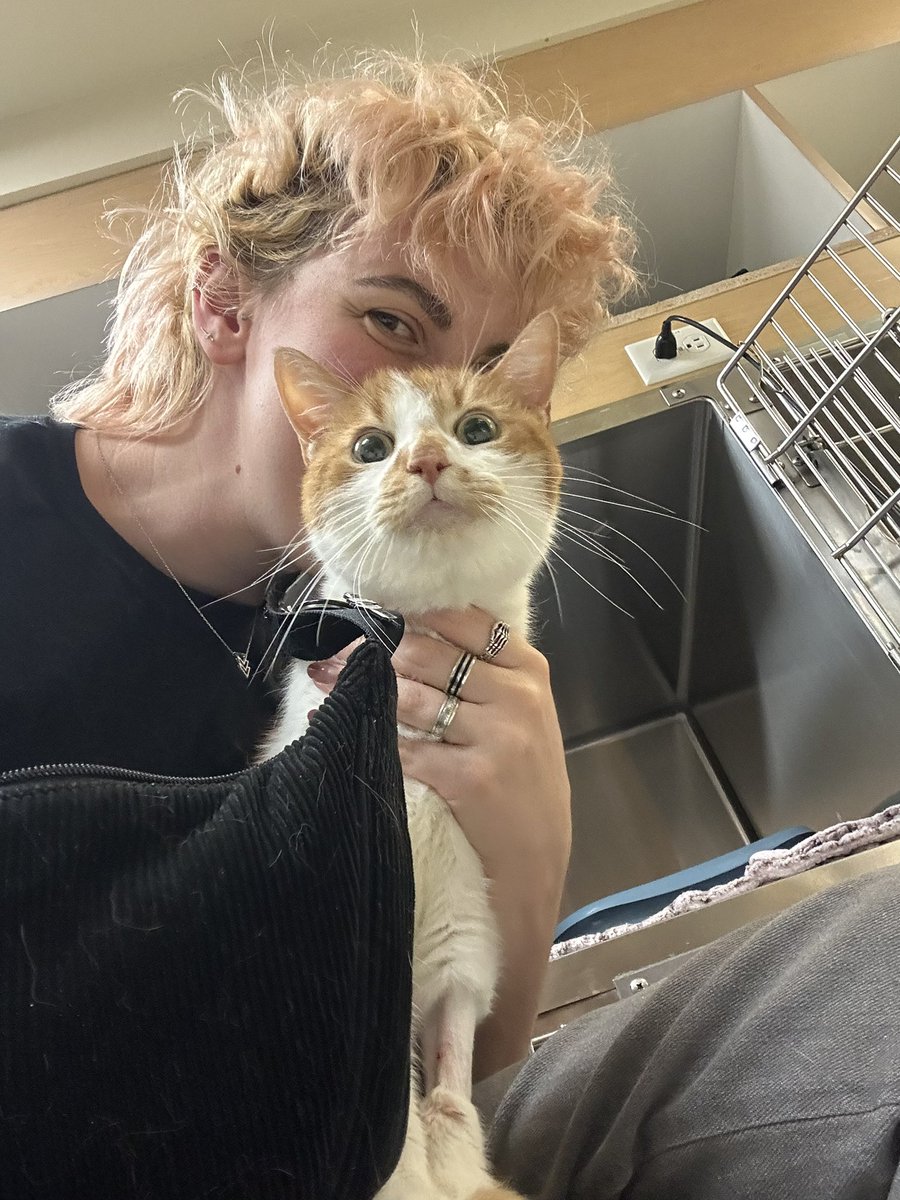cristina & 🐈 tweet media