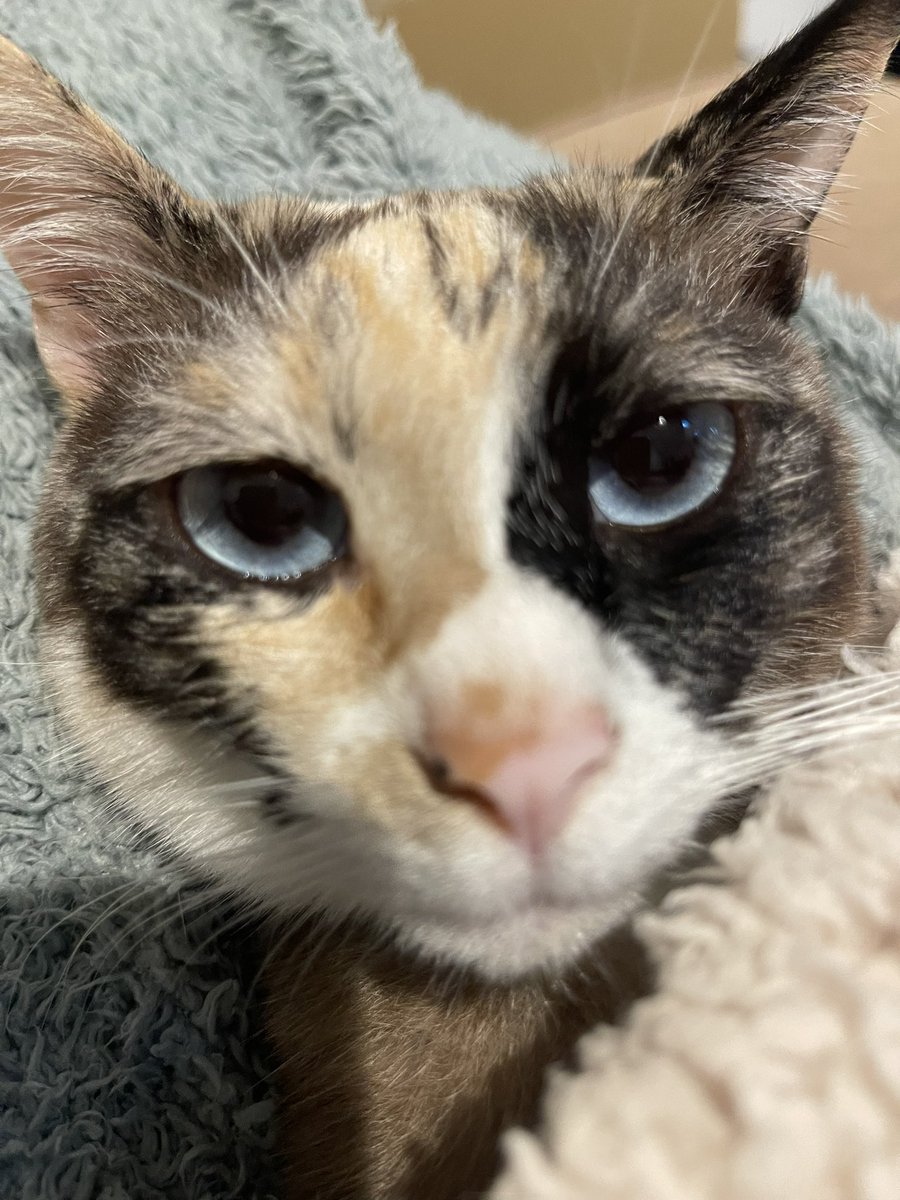 おはよう☀3月もよろしくね〜🐱