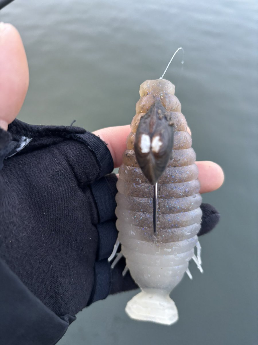 ®️ade tweet media