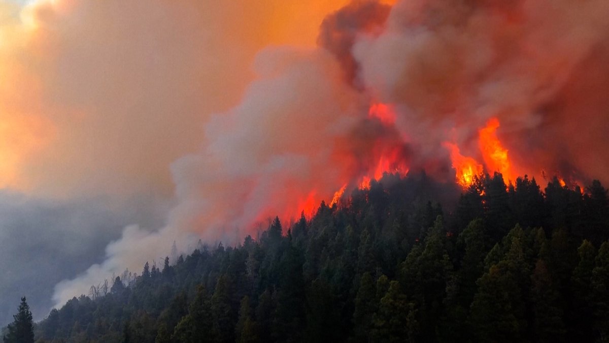 Γνωρίζατε ότι υπάρχει ένα μυστικό σχέδιο για την ίδρυση ενός δεύτερου εβραϊκού κράτους στην περιοχή της Παταγονίας, μεταξύ Αργεντινής και Χιλής;;;;;;

Η κυβέρνηση Milei δέχεται σφοδρή κριτική για τη στενή της συμμαχία με το Ισραήλ και την προώθηση νομοθετικών αλλαγών που