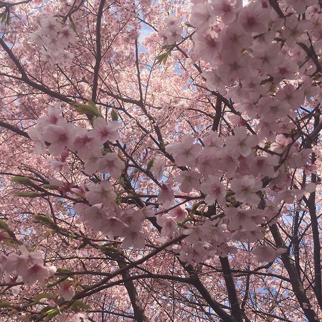 scrofx81's tweet photo. • March accountability thread🧵
#edtwt #accountabilitythread https://t.co/DlzY0hY6mZ