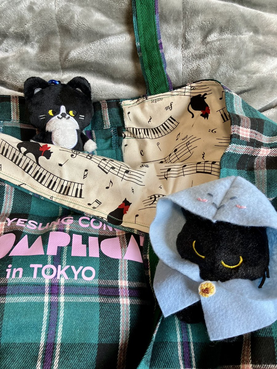 ずいぶん前にソロコンのトートバッグに裏地を付けて、残りの生地をずっと放置してたのを思い出したので巾着バッグにしてみた🪡