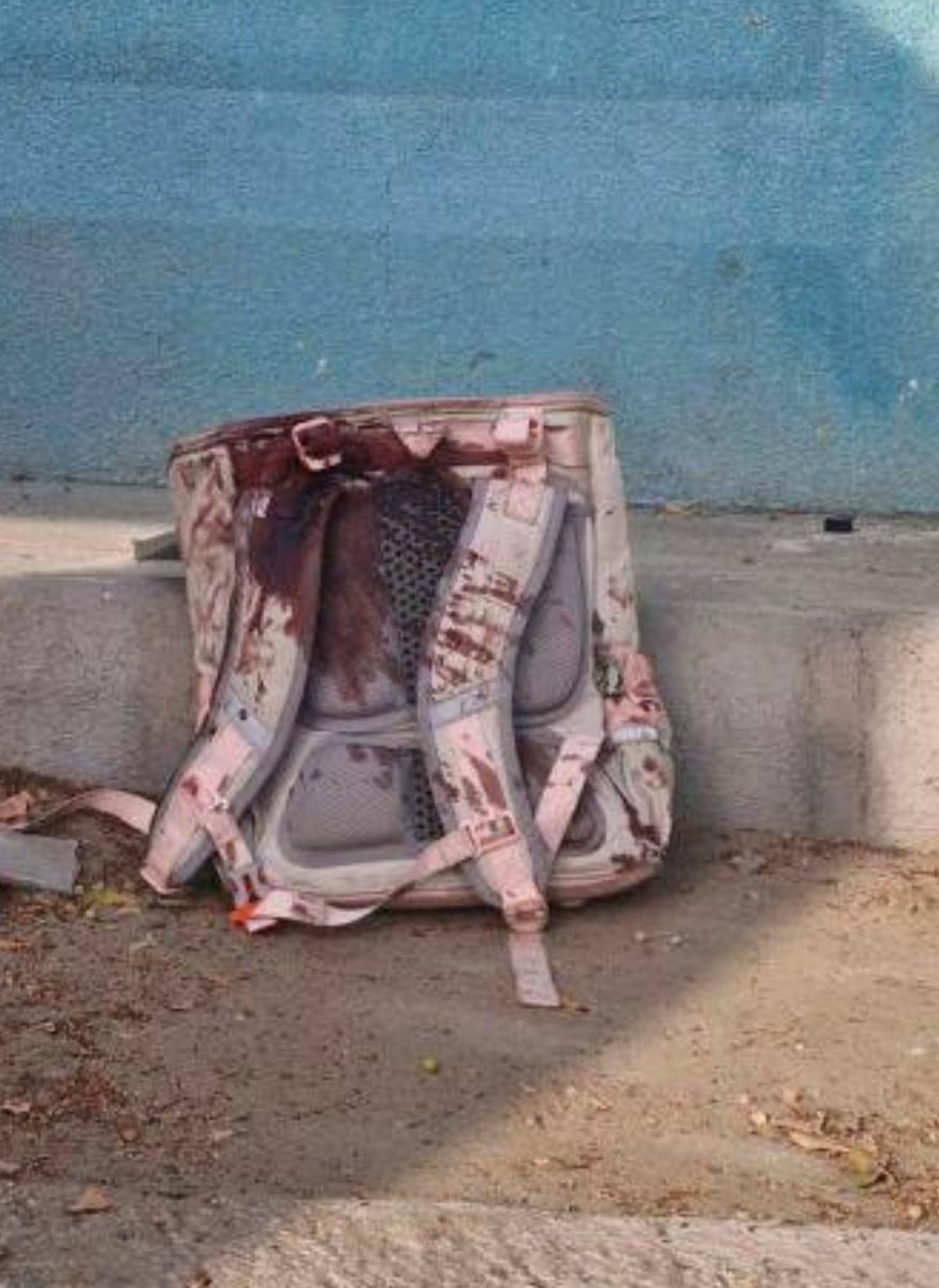 Talha Rashadi tweet media