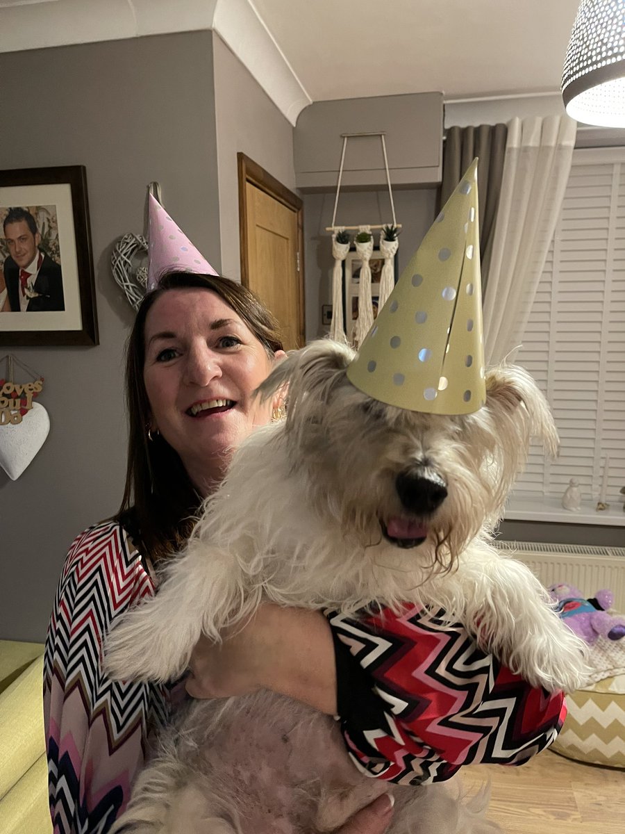 Mr Trebus aka Treebs 🐶🌈BoBoes aka Bear Cub🐻🌈 tweet media