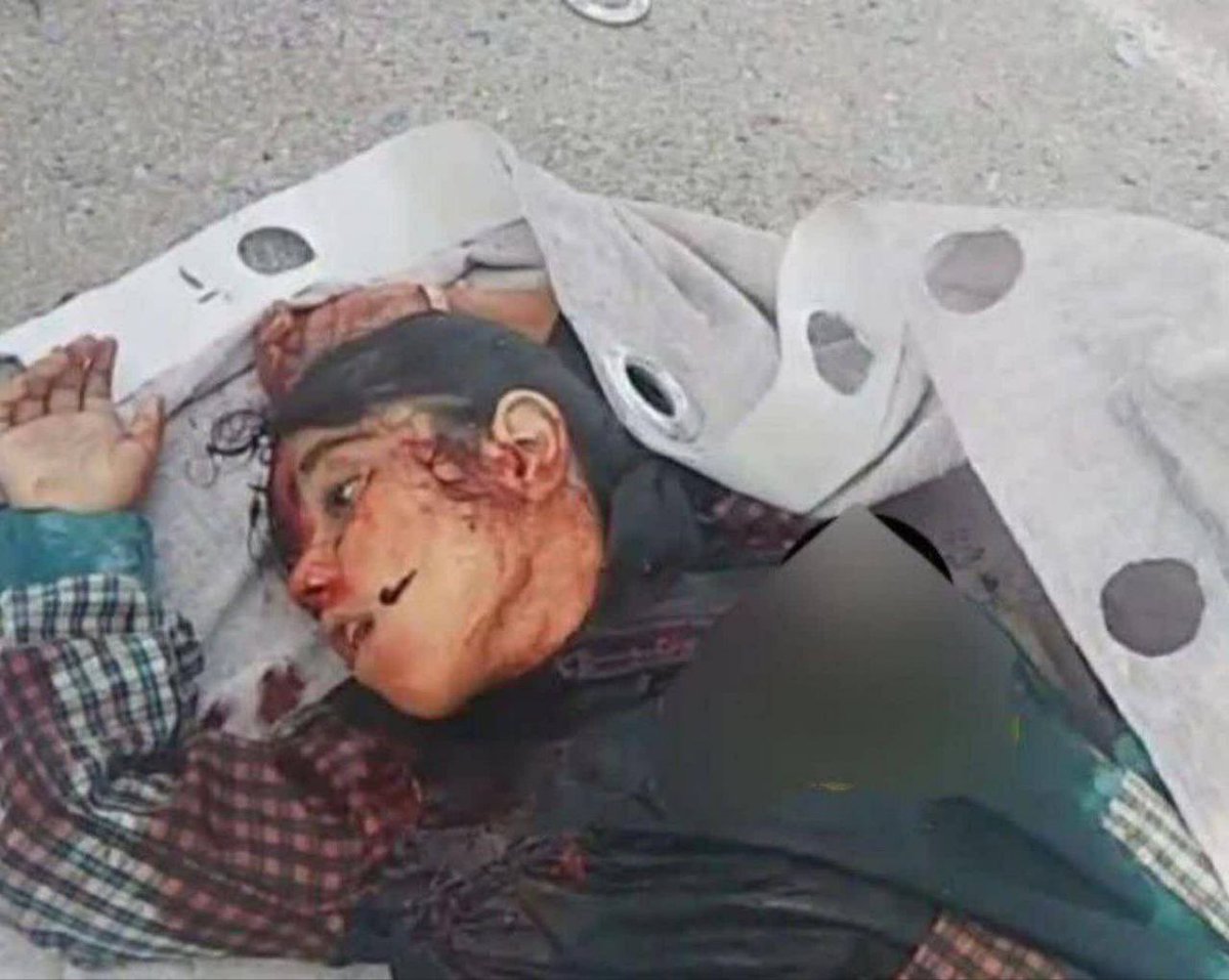 مطرب فرزانه tweet media