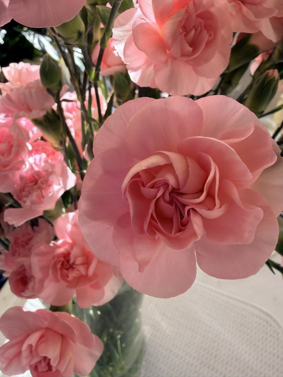 Potscapers tweet media