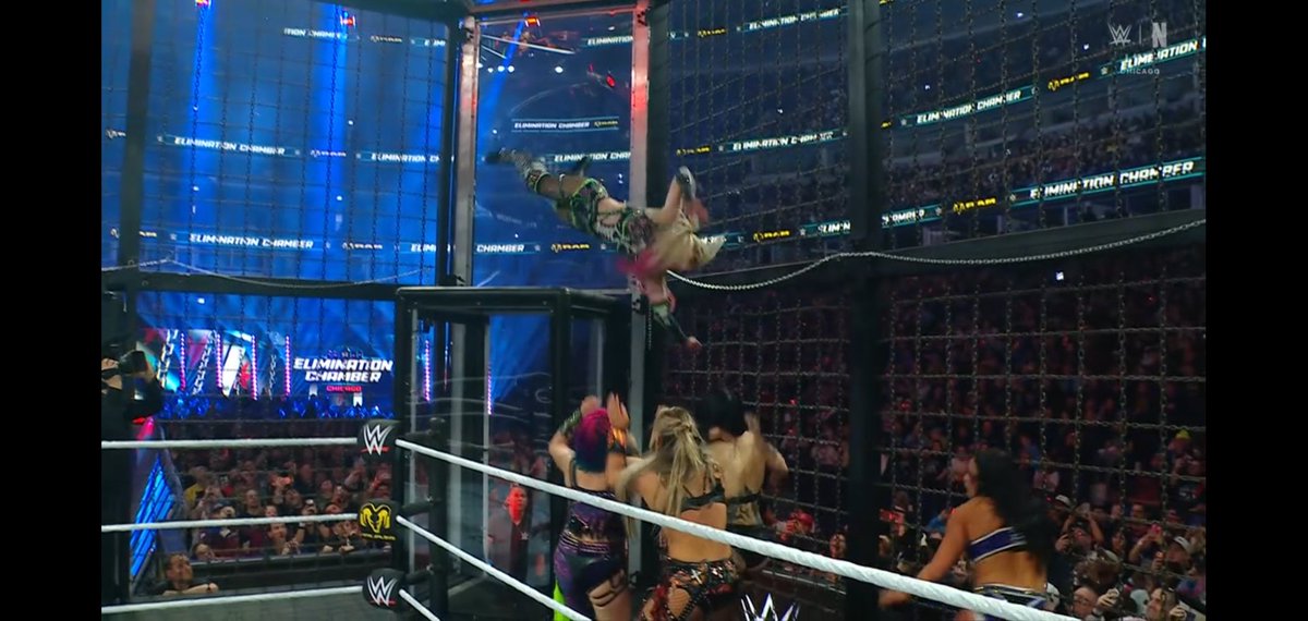 Wrestle Features tweet media